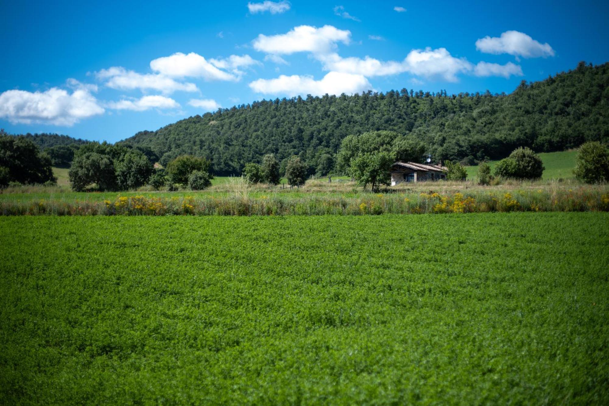 Agri Relais Il Poderaccio Di 博尔塞纳 外观 照片