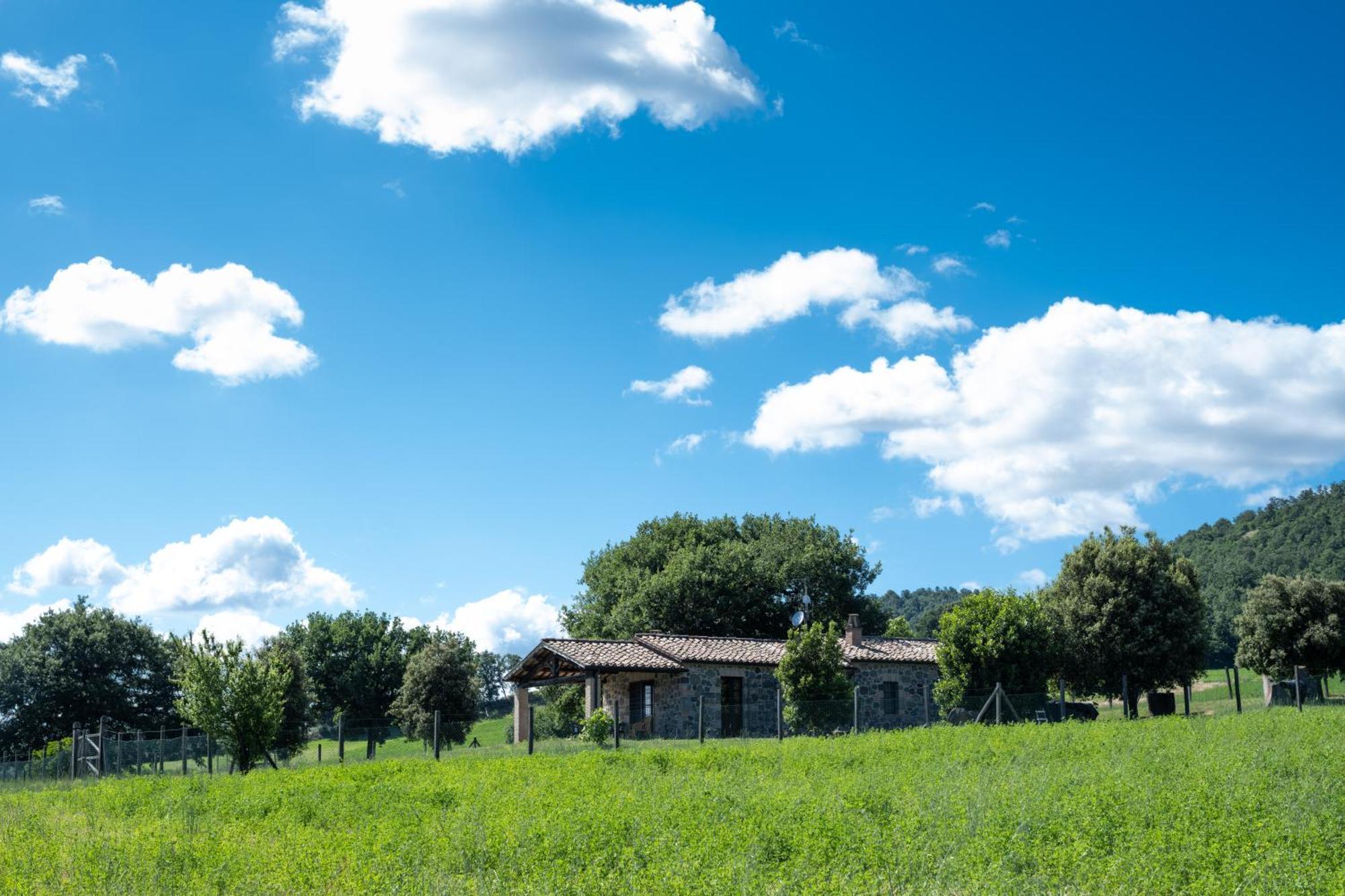 Agri Relais Il Poderaccio Di 博尔塞纳 外观 照片