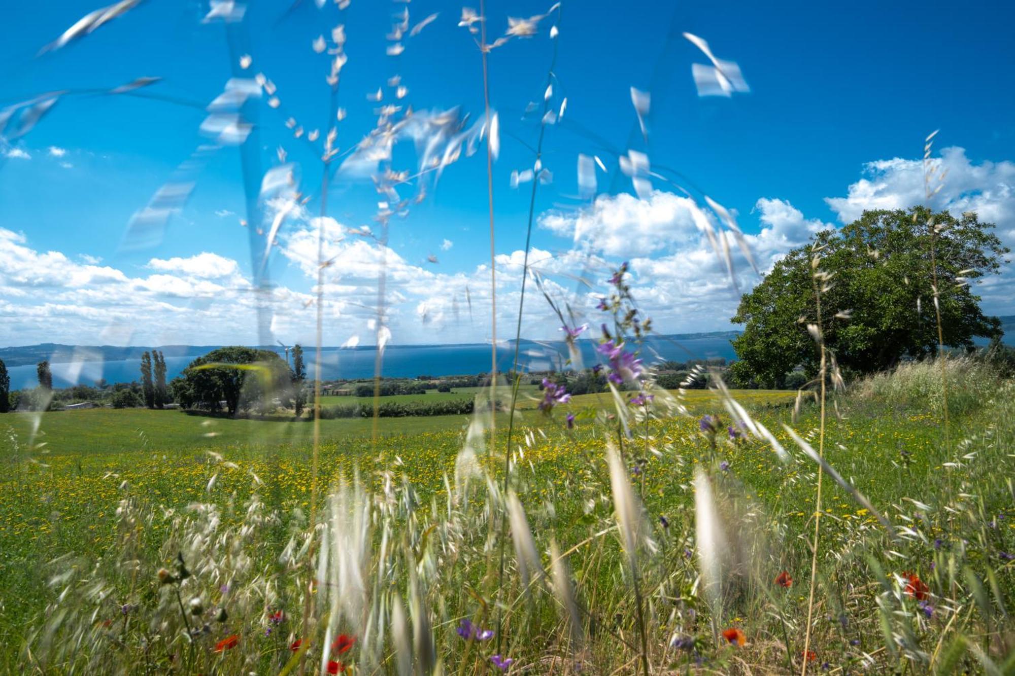Agri Relais Il Poderaccio Di 博尔塞纳 外观 照片