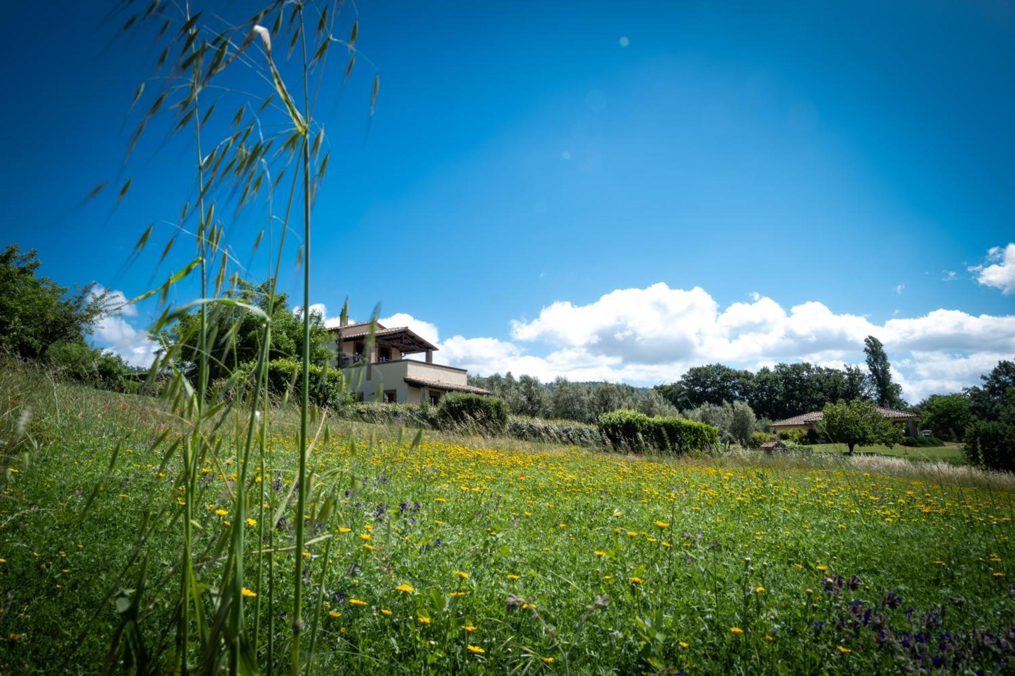 Agri Relais Il Poderaccio Di 博尔塞纳 外观 照片